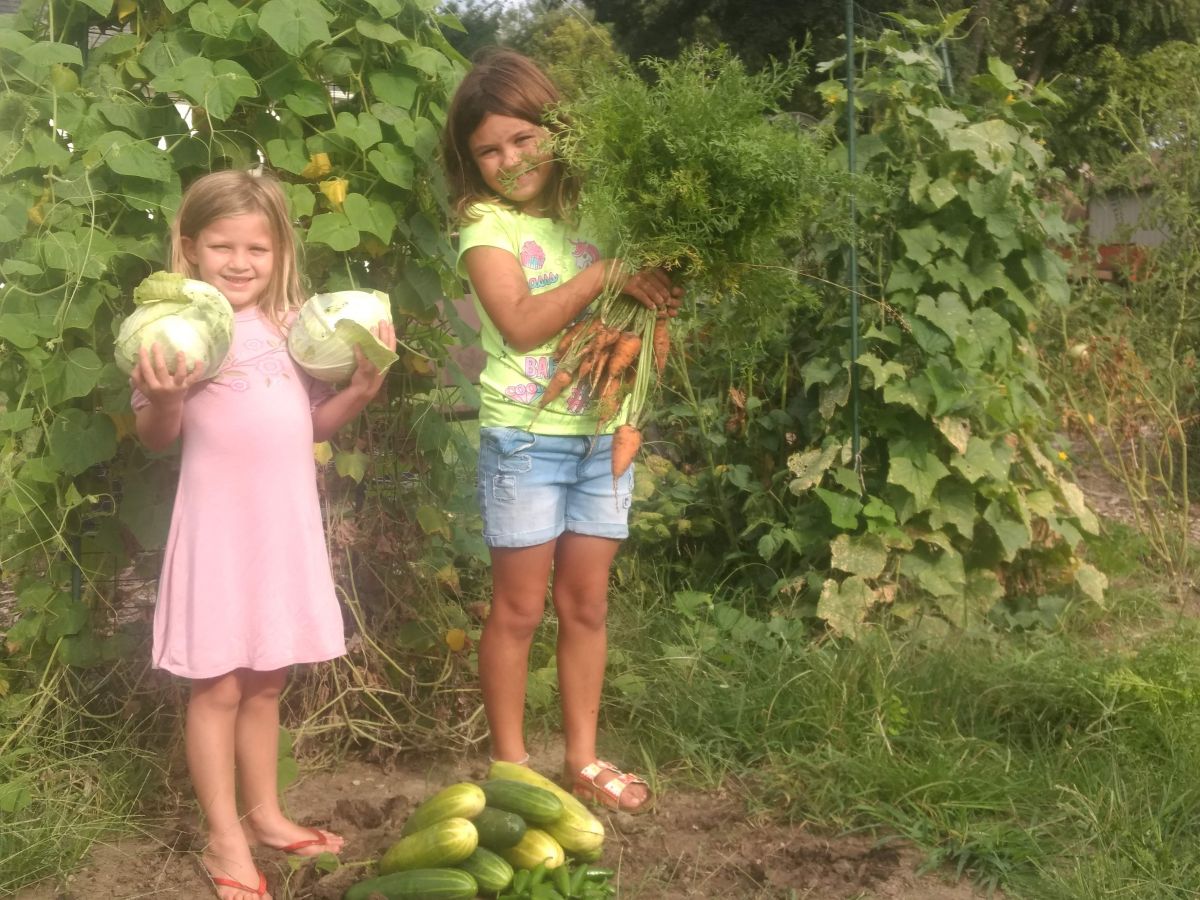 Community Garden