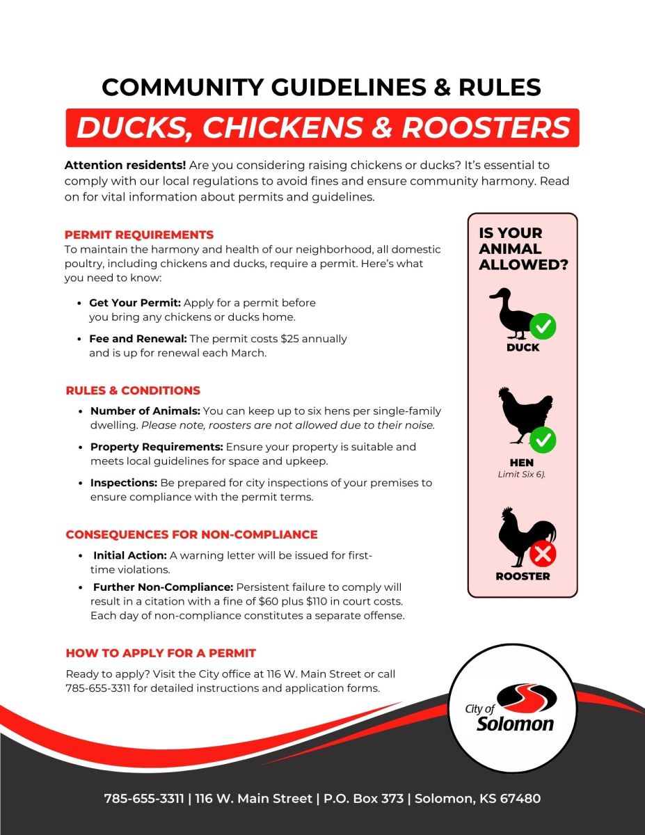 Chicken and Ducks Informational page